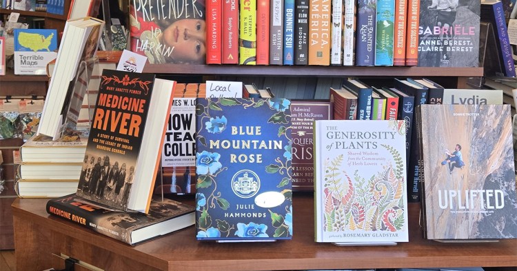 books on a shelf at a bookstore
